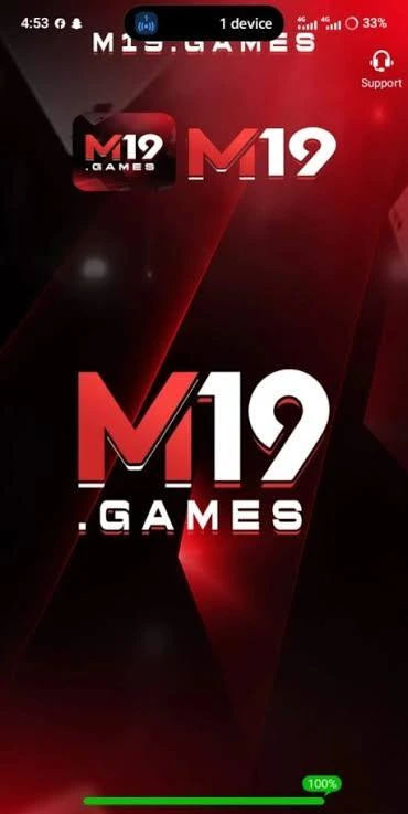 M19