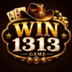 win313