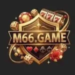 m66